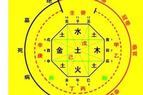 十天干 查詢|生辰八字算命、五行喜用神查询（免费测算）